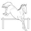 These majestic creatures are associated with qualities of intelligence, independence and a free spirit. 1