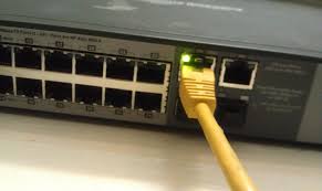 Profile for Phyllis Lackey