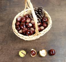 Basteln mit kindern tolle ideen zum nachmachen. Basteln Mit Kindern Basteln Mit Kastanien