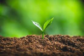 Agricultural Gypsum Santa Ana Soil Amendment Gypsum Santa Ana Bulk Gypsum For Sale Santa Ana