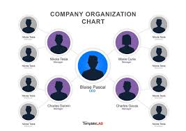 Best Way To Create Organizational Chart Org Chart Designer