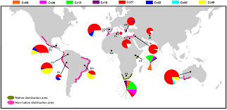 Population Genetics And Migration Pathways Of The