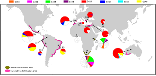 population genetics and migration pathways of the