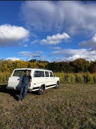 Image result for Avocado Light 1969 Hotpoint