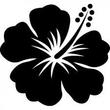 Stickers Fleur Hibiscus 23 Fleurs Hibiscus Dessin Hibiscus Fleurs Hawaienne Dessin
