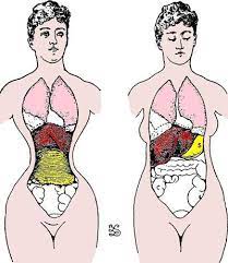 Corset Damage Fashion History Corset Training Corset
