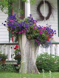 What to do with tree stumps in garden. How To Decorate Your Garden With Old Tree Stumps