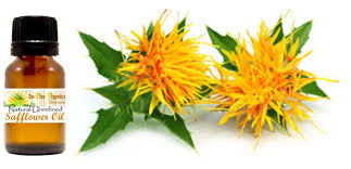 Uses of safflower oil safflower oil has a number of uses both in personal and commercial applications. Safflower Oil Daolusorganicproducts