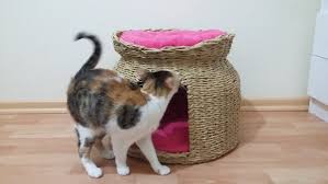 Gazeteden Hasir Kedi Evi Yapimi Cat House Geri Donusum Kedi Evi Kedi Kediler Ve Yavrulari