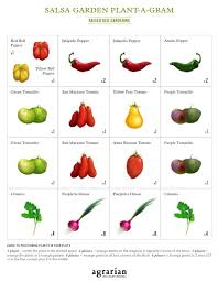 Pin On Salsa Garden