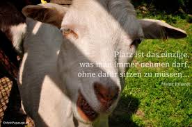 Platz Ist Das Einzige Was Man Immer Nehmen Darf Ohne Dafur Sitzen Zu Heinz Erhardt Heinz Erhardt Zitate Heinz Erhardt Gedichte
