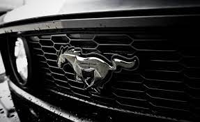 Pin By Daniel Cruces On Mustang Ford Mustang Logo Ford Mustang Ford Mustang Wallpaper