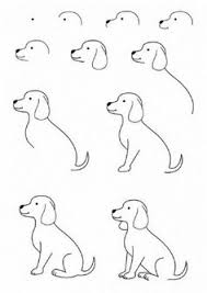Finally, pick your favorite and just get started. 110 Easy Drawings Of Animals Ideas In 2021 Drawings Easy Drawings Animal Drawings