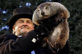 In urban cities like toronto, groundhog's initial damage to a property is usually to its landscape, garden and vegetables. Every Groundhog Most Certainly Has Its Day Opinion Mainstreet Nashville Com