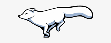 How does the arctic fox adapt to the tundra? Arctic Fox Clipart Red Fox Arctic Fox Drawing Free Transparent Png Download Pngkey