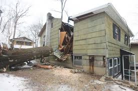 Hopatcong death points up a rare danger: Falling trees