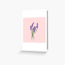 Explore origin 0 base skins used to create this skin; Lavender Flower Minimalist Aesthetic Purple Plant Art Print By Beaucoupspookoo Redbubble
