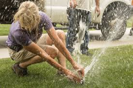 It also has other features, such as a calculator for determining your water use, and a tips section on water conservation. Utah Water Officials Say It S Too Early To Water Your Lawn Environment Standard Net