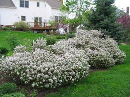 We're here to help bring your landscaping to the next level. Pin On Backyard