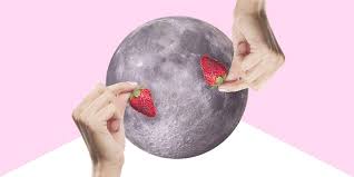 Conservez le plus beau, de préférence le fruit du centre pour les pommes et un de la périphérie pour les poires. Tjjepjj5 Mtvmm