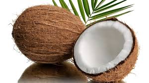 Image result for Cocos nucifera