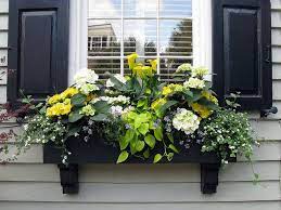 With hooks & lattice window boxes, you can add an enchanting floral arrangement that adds color, fresh greenery and a great measure of charm to any window. Black Window Box With Black Shutters Tradd Street Charleston Sc Window Box Flowers Gorgeous Window Boxes Window Planter Boxes