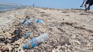 Image result for z p%u0159ednice jedovat 