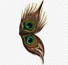 Download this premium vector about peacock feathers gold and turqiouse background, and discover more than 14 million professional graphic resources on freepik. Peacock Feather Background