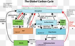 Unsur karbon di atmosfer dalam bentuk gas karbon dioksida (co2), sedangkan unsur oksigen dalam bentuk gas oksigen (o2). Siklus Karbon Unduh Gratis Siklus Karbon Karbon Tanah Karbon Dioksida Flux Siklus Air Siklus Karbon Gambar Png