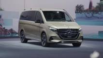 Image result for Arctic White 2016 Vito