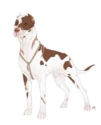 Rihter Pitbull Art Canine Art Dog Design Art