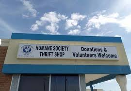 Blue Pink Photo Modern Monthly Report