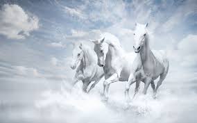 Check out this fantastic collection of all white wallpapers, with 45 all white background images for your desktop, phone or tablet. Horses 4k Wallpapers For Your Desktop Or Mobile Screen Free And Easy To Download