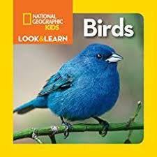 Bird Songs For Kids Free Bird Sounds Songs And Rhymes For Circle Time Living Montessori Now