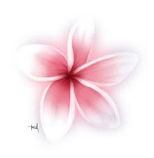 Pin By Tatiana Verduzco On Tattoo Plumeria Tattoo Plumeria Flower Tattoos Hawaiian Tattoo