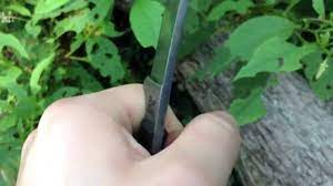 Modifies loan and often reduces payment. Sheath And Modifications To The Bk 14 Youtube