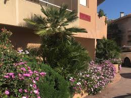 Epingle Par Les Pins Maritimes Frejus Sur Les Pins Maritimes Frejus Frejus Plage Frejus Terrasse
