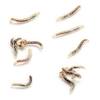 While most people assume fleas live only on their pets, the fact is fleas also love to hunker down in carpeting. 1