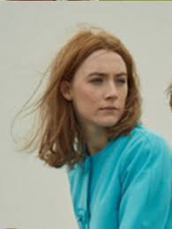 The Story Collector by Evie Woods