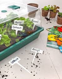 propagation products mr fothergill's