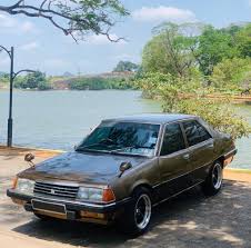 Image result for Rhone Blue 1983 Colt