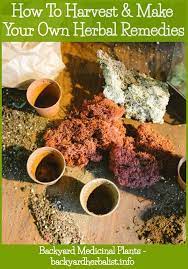 Medicinal Plants Bel Lawn Treatment Medicinal Plants Herbalism