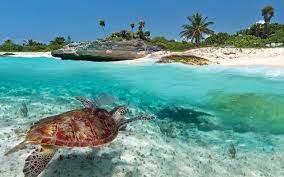 In this guide we will. Tulum Mexico Lincolnshire Life