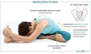 Sirsasana is a very safe pose if you learn how to evolve on it. Is It Safe To Begin Your Yoga Practice With Seated Poses