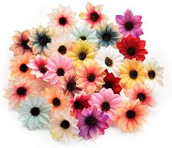 We did not find results for: Silk Flowers In Bulk Wholesale Home South Africa Buy Silk Flowers In Bulk Wholesale Home Online Wantitall