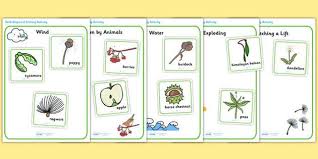 Pin On Ee Plants And Trees