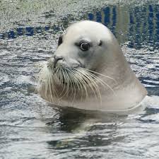 המלון מתפאר במיקום מובחר בעיר קיוטו, תוך 5 דקות הליכה על תחנת מטרו תחנת הרכבת ה שיג'ו. Via Inn Kyoto Shijo Muromachi 39 5 0 Prices Hotel Reviews Japan Tripadvisor