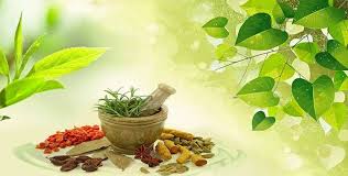 Image Result For Ayurveda Ayurveda Ayurvedic Organic Herbs