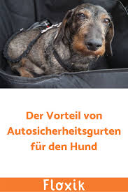 Was Du Uber Sicherheitsgurte Fur Hunde Wissen Solltest Wenn Der Hund Im Auto Transportiert Wird Egal Ob Auf Einer Autoschonde In 2020 Hundeprodukte Hund Auto Hunde