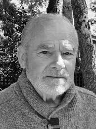 Valerie Green reviews Trees of Victoria: A Wanderer's Guide by Collin Varner